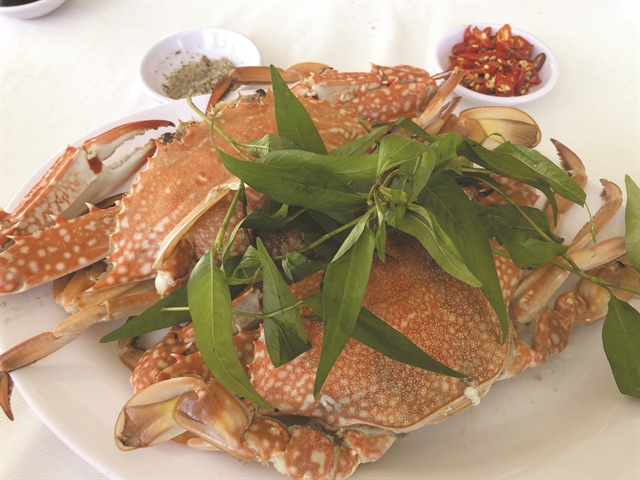 Spectacular seafood with stunning ocean views in Vũng Tàu